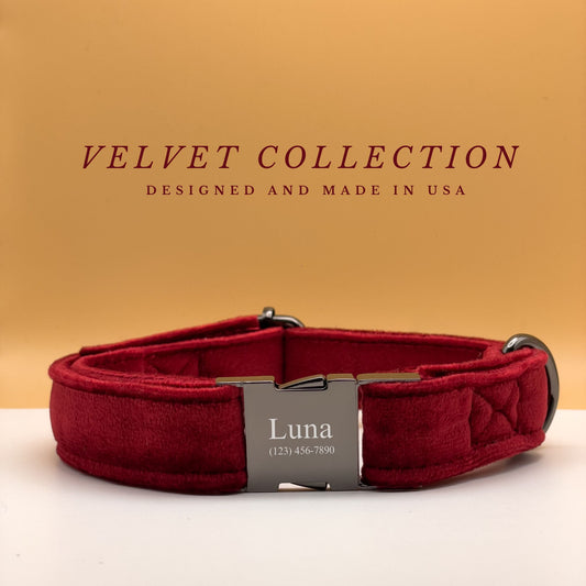 Red Velvet Dog Collar