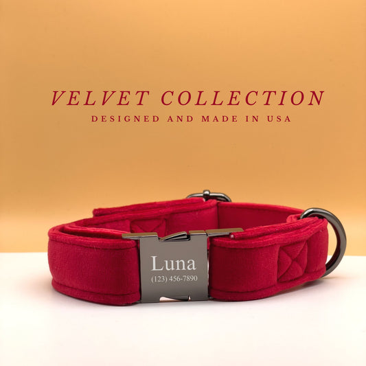 Bright Red Velvet Dog Collar